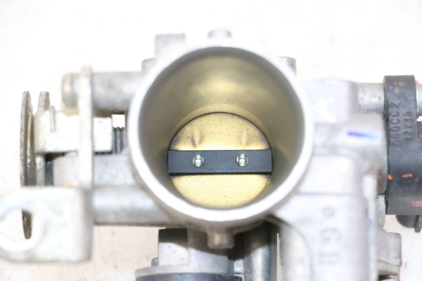 photo de INJECTION THROTTLE BODIES SYM JOYMAX 125 (2010 - 2017)