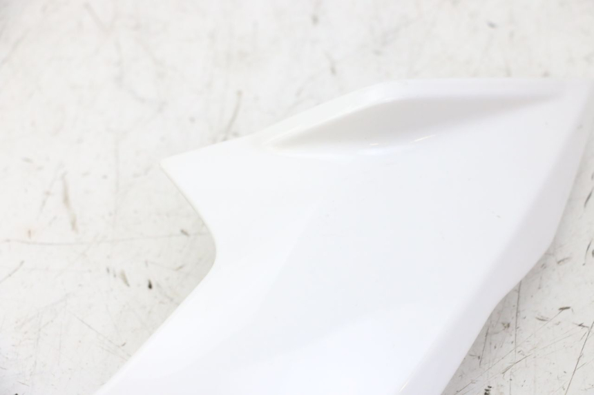 photo de LEFT INNER FRONT FAIRING BMW G310 R 310 (2016 - 2020)