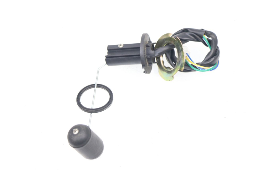 photo de FUEL TANK GAUGE LONGJIA DIGITA 4T 50 (2019 - 2022)