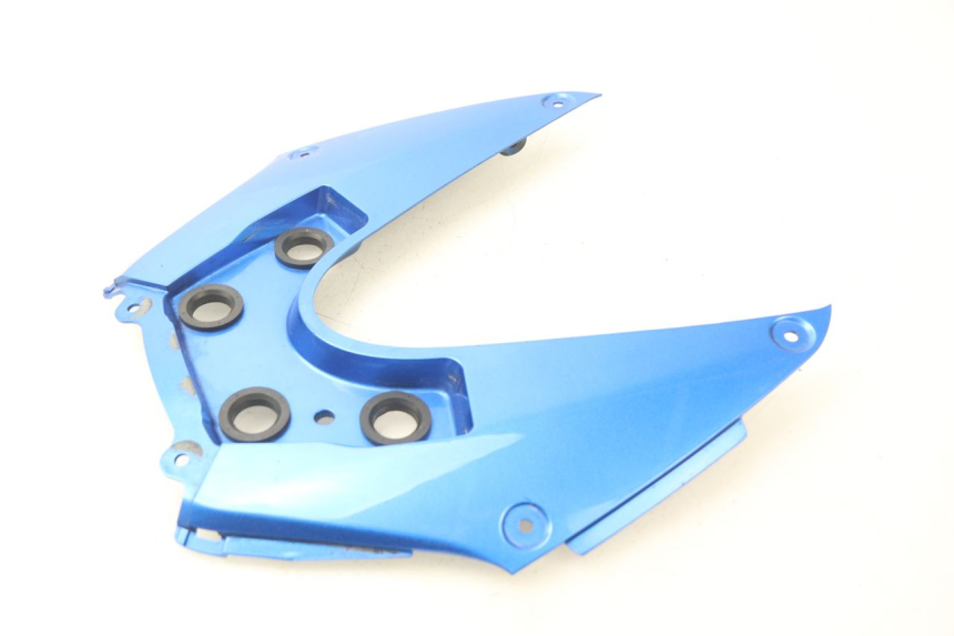 photo de REAR LOWER MIDDLE PANEL SUZUKI GSX-R GSXR K16 1000 (2012 - 2016)