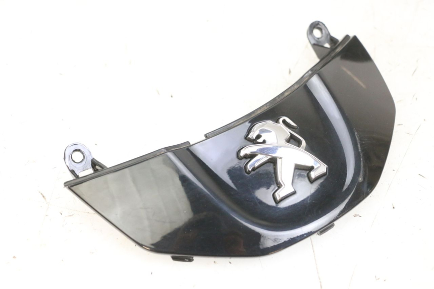 photo de REAR LOWER MIDDLE PANEL PEUGEOT TWEET PRO EFI 4T 50 (2021 - 2022)