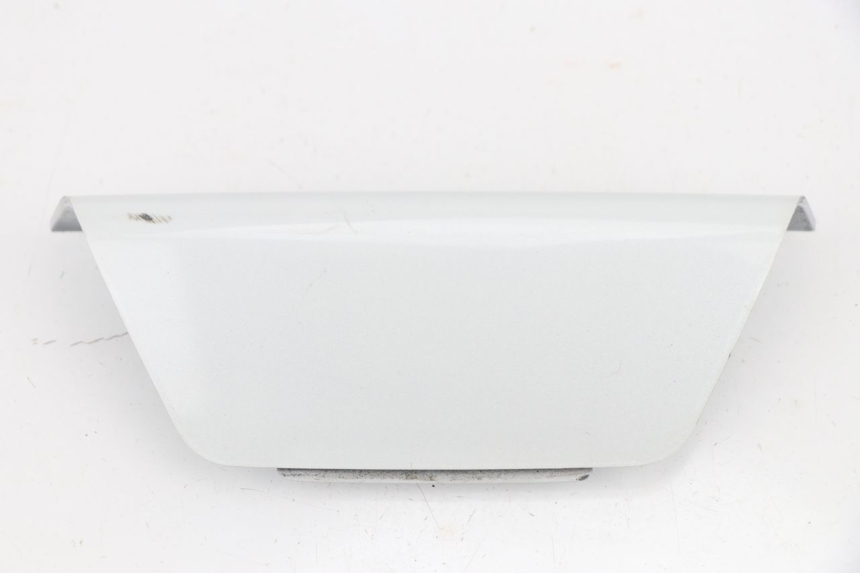 photo de REAR MIDDLE PANEL DAELIM S2 FI 125 (2008 - 2017)