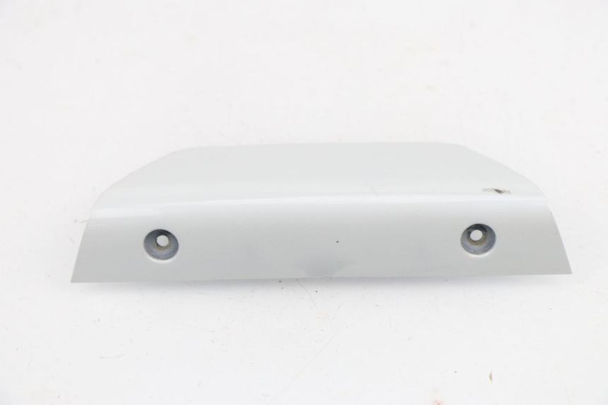 photo de REAR MIDDLE PANEL DAELIM S2 FI 125 (2008 - 2017)
