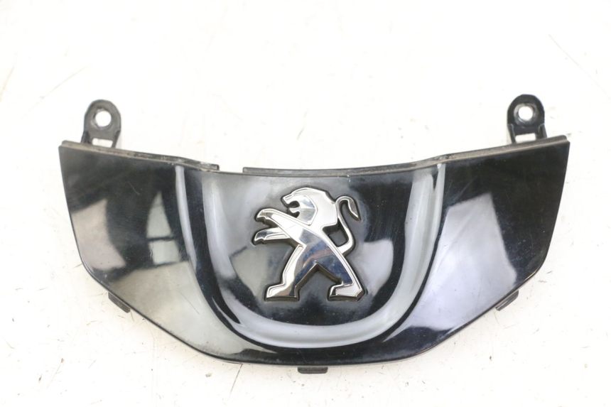 photo de FRONT MIDDLE PANEL PEUGEOT TWEET PRO CARGO 50 (2018 - 2020)