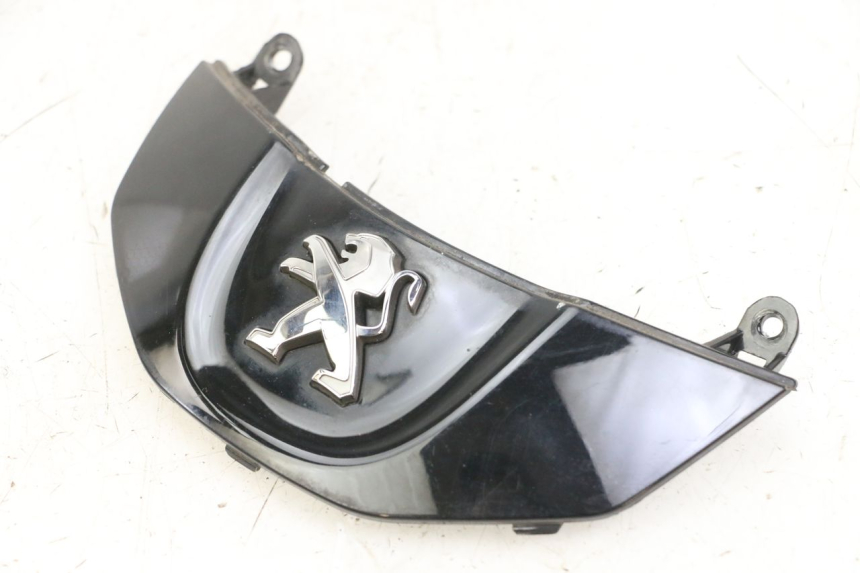 photo de FRONT MIDDLE PANEL PEUGEOT TWEET PRO CARGO 50 (2018 - 2020)