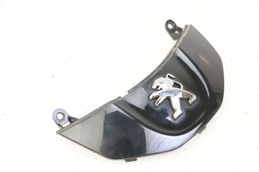 photo de FRONT MIDDLE PANEL PEUGEOT TWEET PRO CARGO 50 (2018 - 2020)