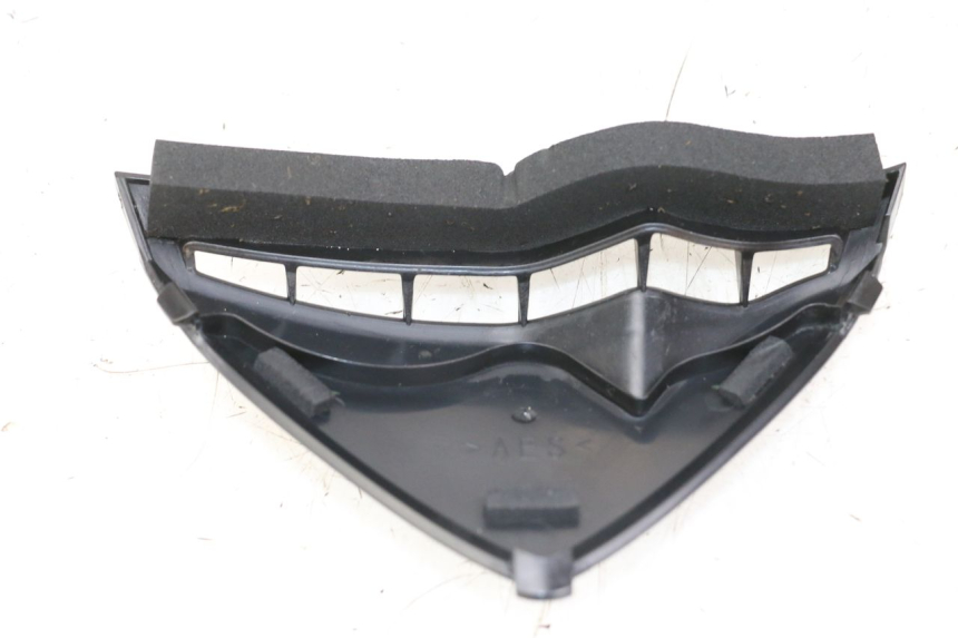 photo de FRONT MIDDLE PANEL  YAMAHA FZ1 FAZER 1000 (2007 - 2009)