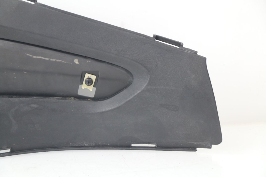photo de RIGHT FOOTSTEP JUNCTION GILERA RUNNER SP 50 (2009 - 2017)