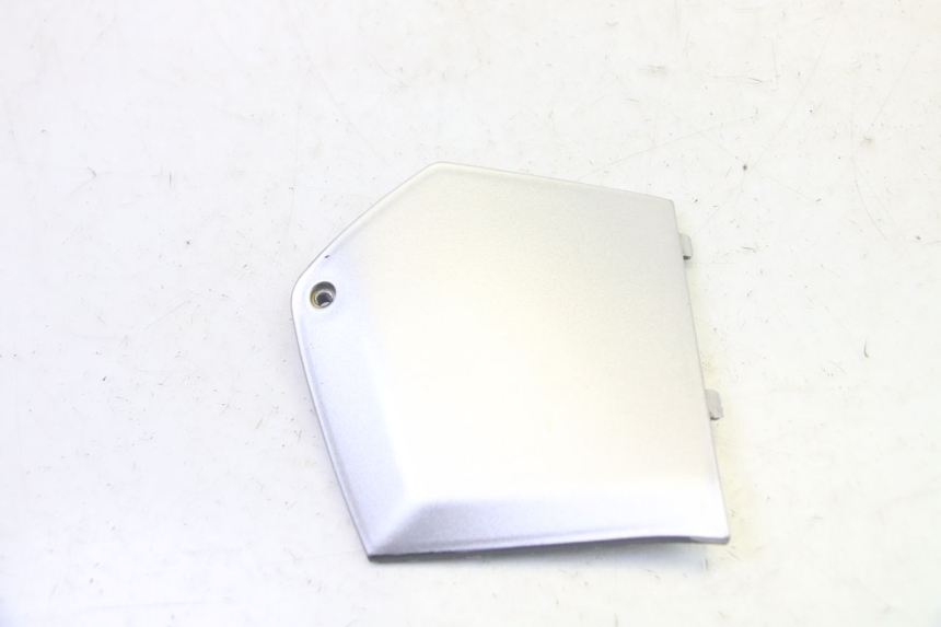 photo de LEFT MIDDLE FLOOR PANEL PIAGGIO MP3 RL 250 (2007 - 2010) - Main view