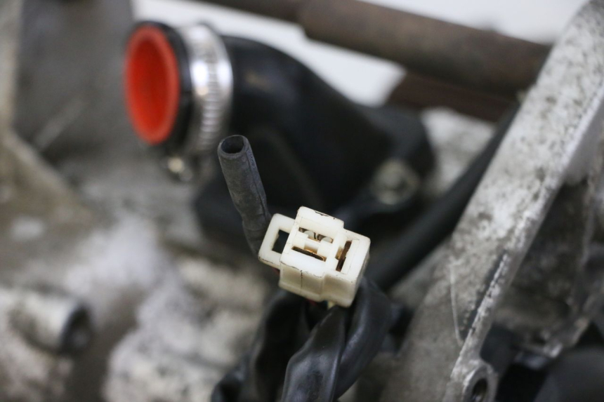 photo de ENGINE PEUGEOT CITYSTAR 50 (2013 - 2017)