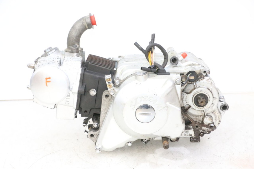 photo de ENGINE SKYTEAM DAX REPLICA 110 (2005 - 2015)