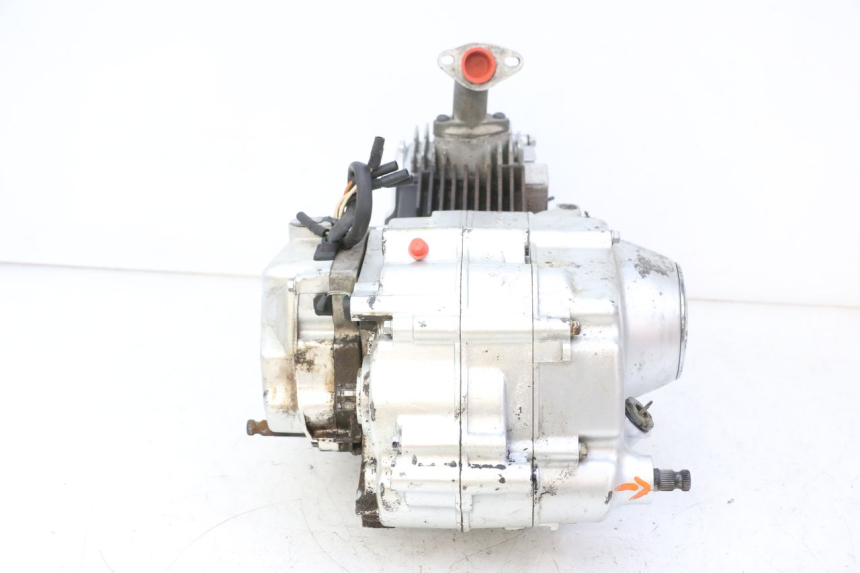 photo de ENGINE SKYTEAM DAX REPLICA 110 (2005 - 2015)