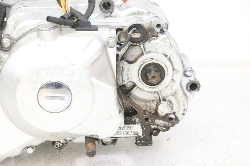 photo de ENGINE SKYTEAM DAX REPLICA 110 (2005 - 2015)