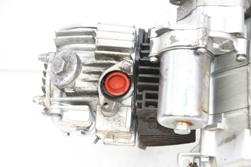 photo de ENGINE SKYTEAM DAX REPLICA 110 (2005 - 2015)