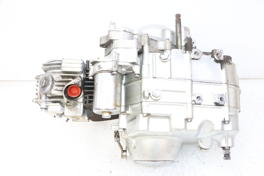 photo de ENGINE SKYTEAM DAX REPLICA 110 (2005 - 2015)