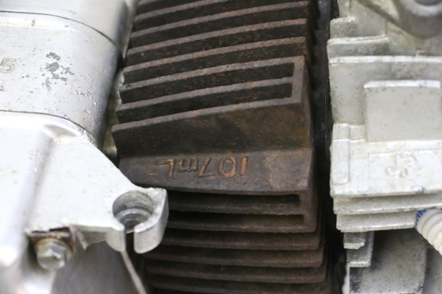 photo de ENGINE SKYTEAM DAX REPLICA 110 (2005 - 2015)