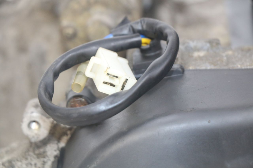 photo de ENGINE PEUGEOT DJANGO 4T 50 (2014 - 2019)