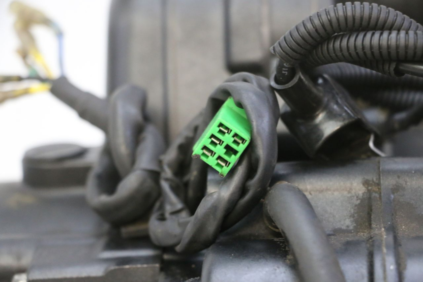 photo de ENGINE STAHO FH 50 (2018 - 2019)