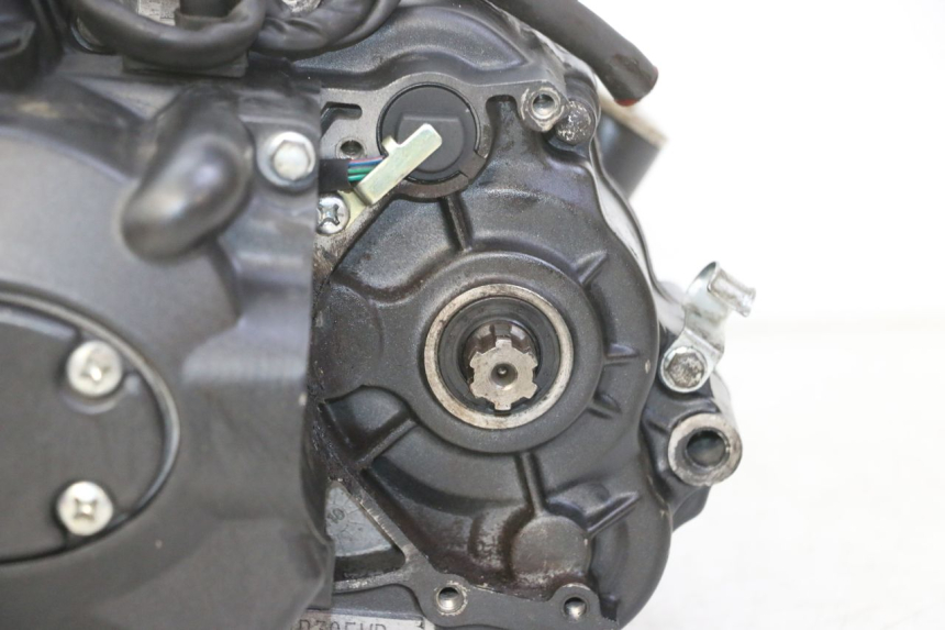 photo de ENGINE STAHO FH 50 (2018 - 2019)