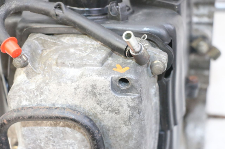 photo de ENGINE SYM FIDDLE 125 (2008 - 2010)