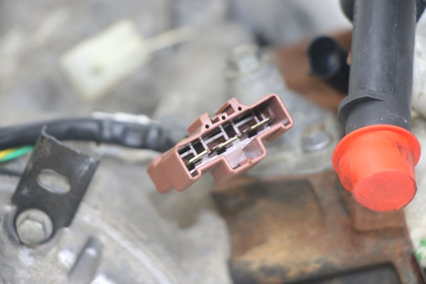 photo de ENGINE PEUGEOT GEOPOLIS RS 125 (2007 - 2009)