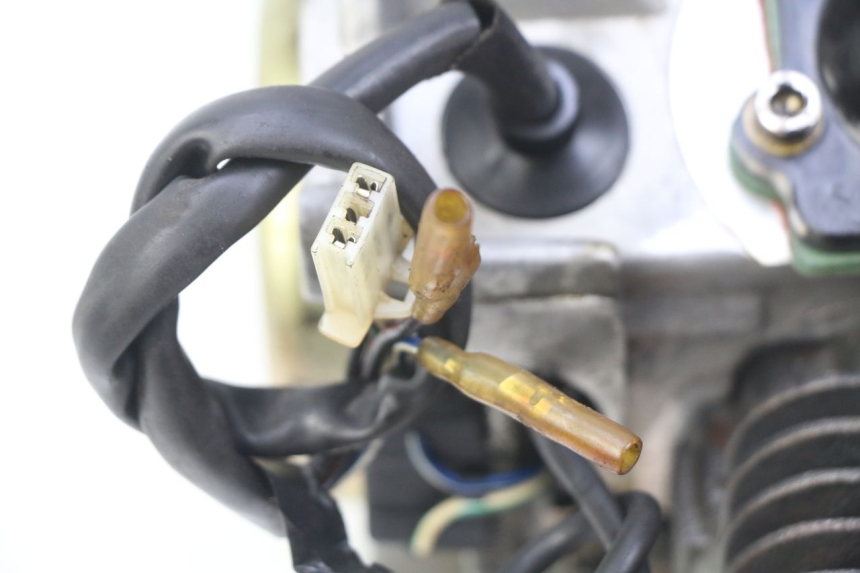 photo de ENGINE IMF INDUSTRIE PACH 2T 50 (2009 - 2018)