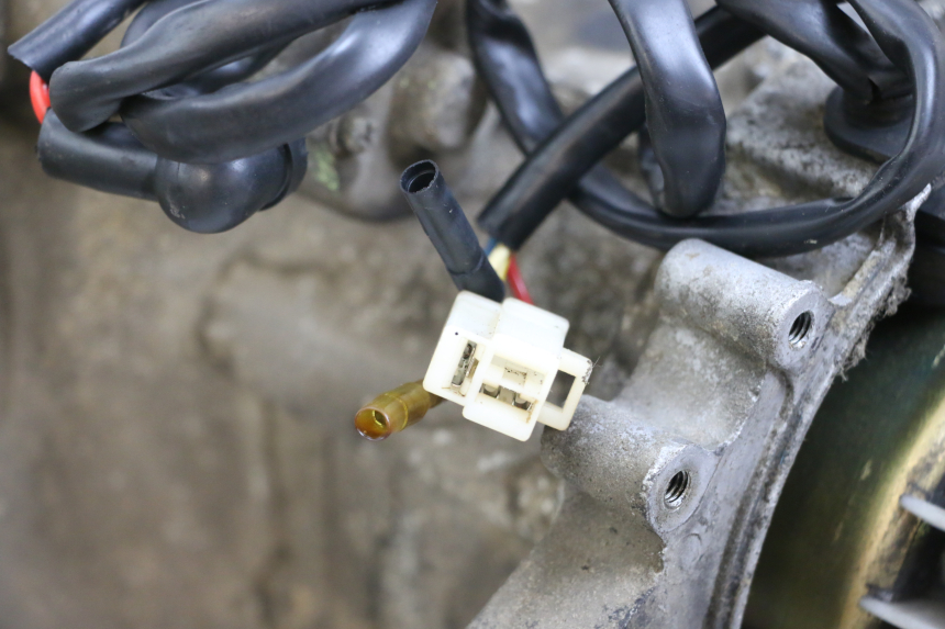 photo de ENGINE IMF INDUSTRIE PACH 4T 50 (2009 - 2018)