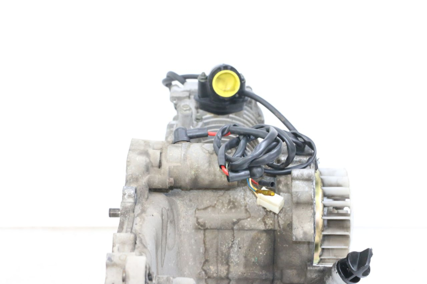photo de ENGINE IMF INDUSTRIE PACH 4T 50 (2009 - 2018)