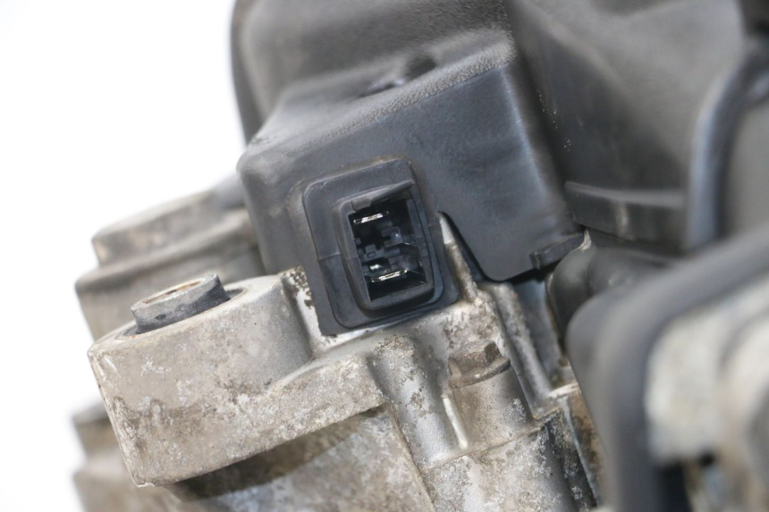 photo de ENGINE PIAGGIO LIBERTY 4T 50 (2004 - 2008)