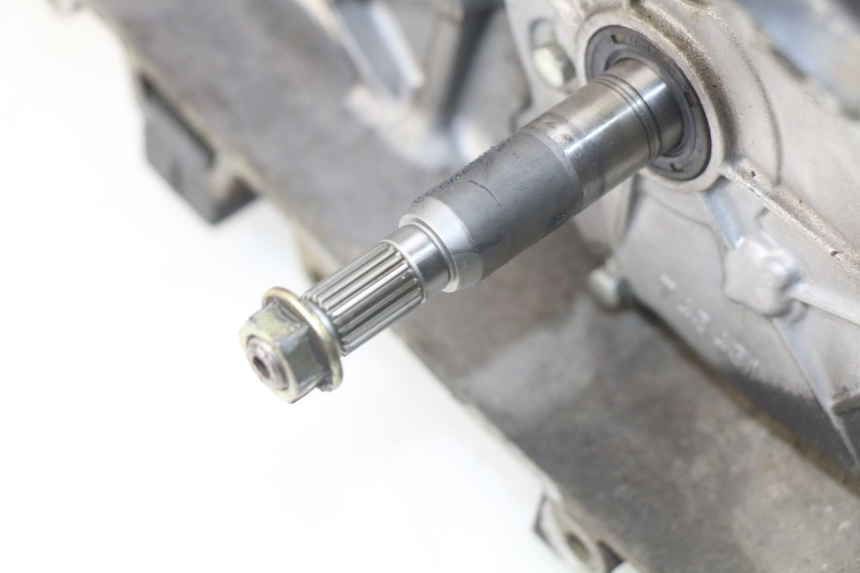 photo de ENGINE PEUGEOT LUDIX 50 (2005 - 2007)