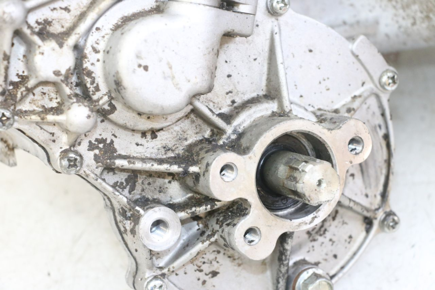 photo de ENGINE MASAI XL 50 (2012 - 2019)