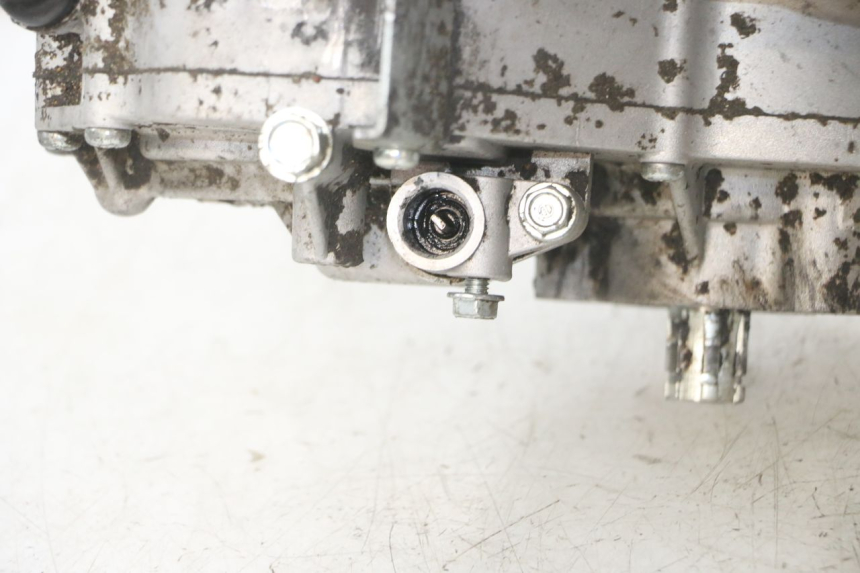 photo de ENGINE MASAI XL 50 (2012 - 2019)