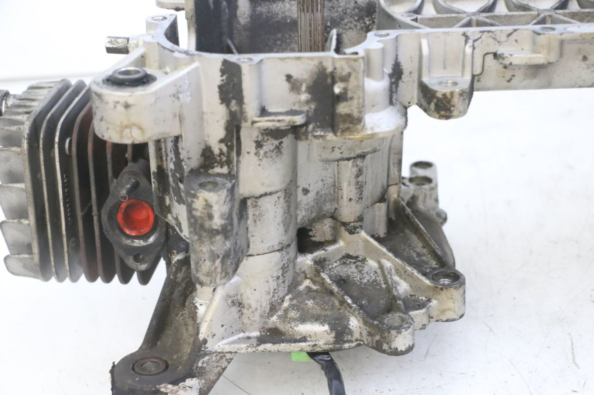 photo de ENGINE PIAGGIO NEW TYPHOON 50 (2018 - 2021)