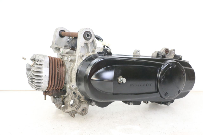 photo de ENGINE PEUGEOT CITYSTAR 2T 50 (2018 - 2021)