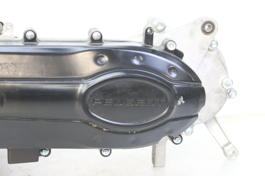 photo de ENGINE PEUGEOT TWEET 4T 50 (2023 - 2025)