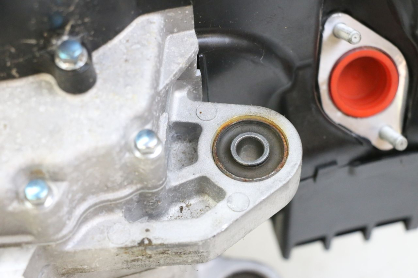 photo de ENGINE PEUGEOT TWEET 4T 50 (2023 - 2025)