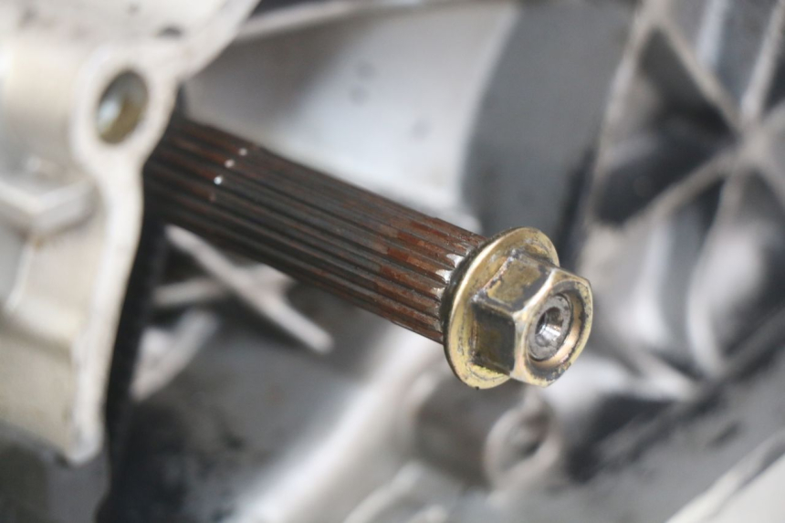 photo de ENGINE PIAGGIO NEW TYPHOON 50 (2010 - 2017)