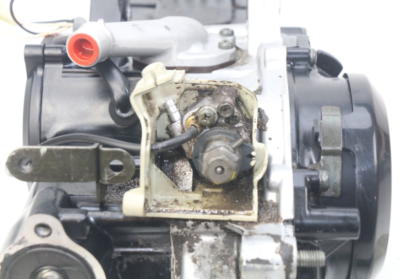 photo de ENGINE YAMAHA PW 50 (1984 - 2020)