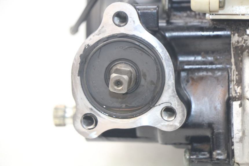 photo de ENGINE YAMAHA PW 50 (1984 - 2020)