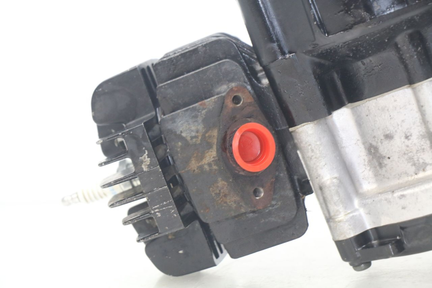 photo de ENGINE YAMAHA PW 50 (1984 - 2020)