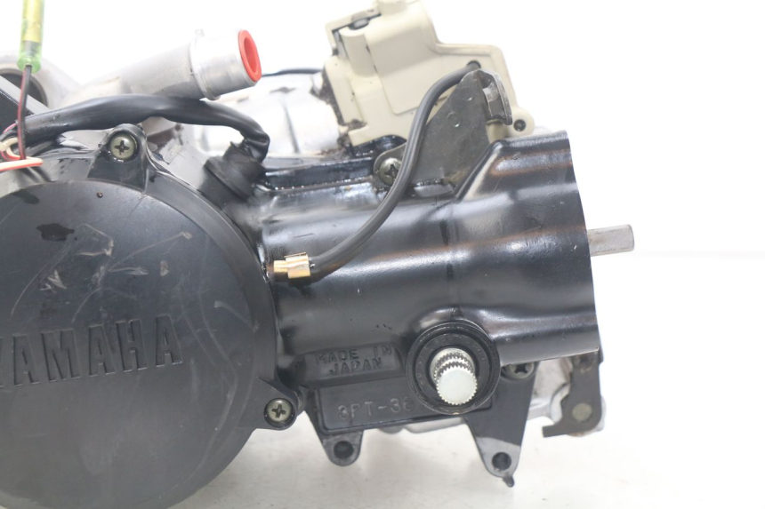photo de ENGINE YAMAHA PW 50 (1984 - 2020)