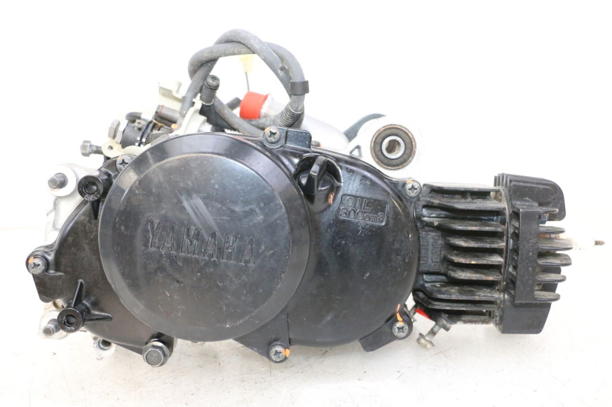 photo de ENGINE YAMAHA PW 50 (1984 - 2020)