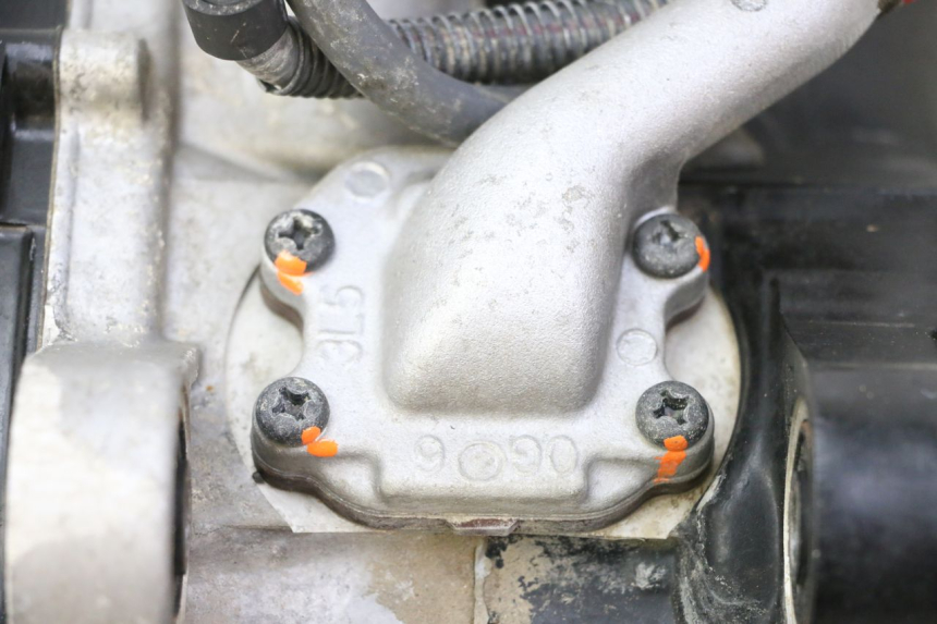 photo de ENGINE YAMAHA PW 50 (1984 - 2020)