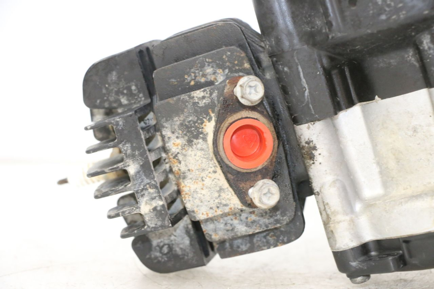 photo de ENGINE YAMAHA PW 50 (1984 - 2020)