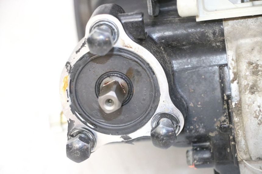 photo de ENGINE YAMAHA PW 50 (1984 - 2020)