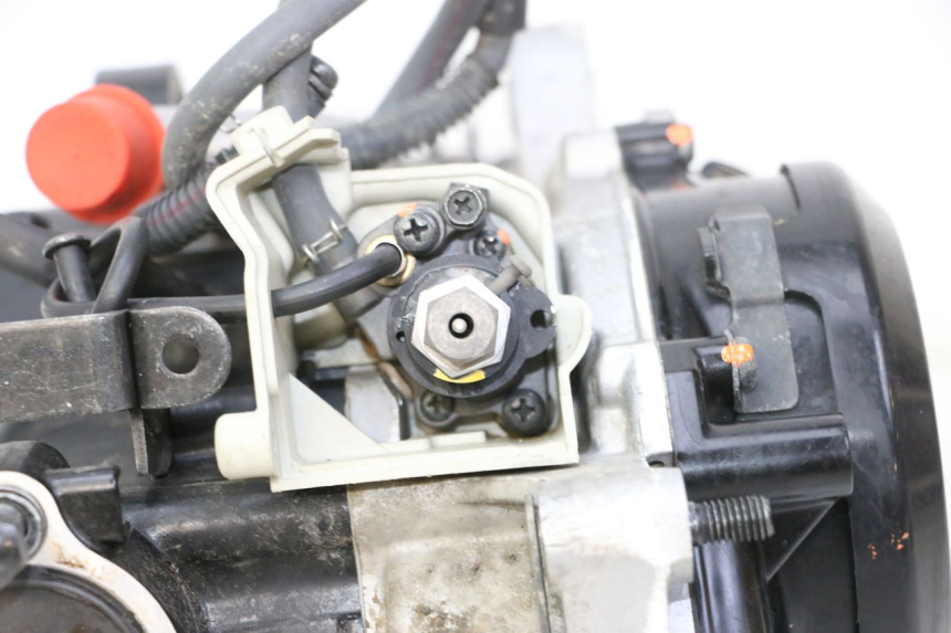 photo de ENGINE YAMAHA PW 50 (1984 - 2020)