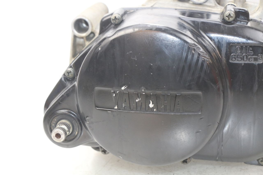 photo de ENGINE YAMAHA PW 80 (1983 - 2014)