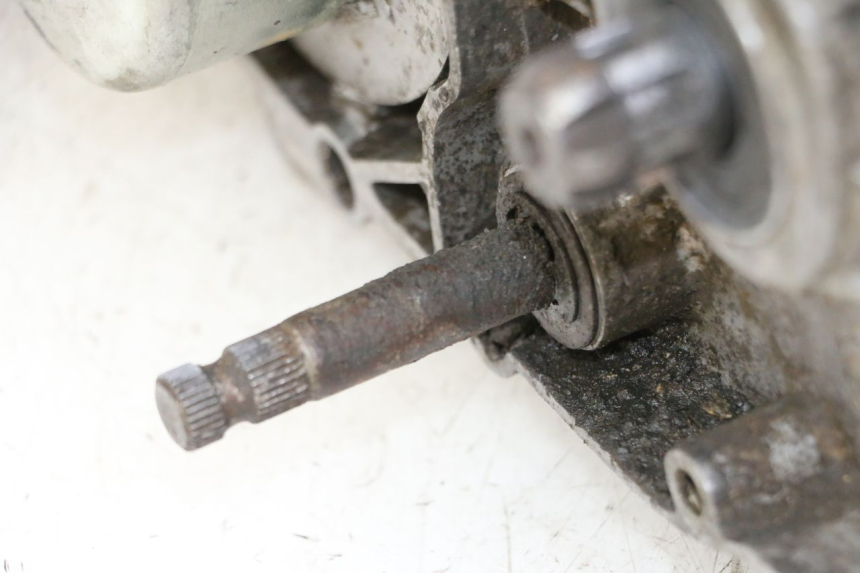 photo de ENGINE YAMAHA PW 80 (1983 - 2014)