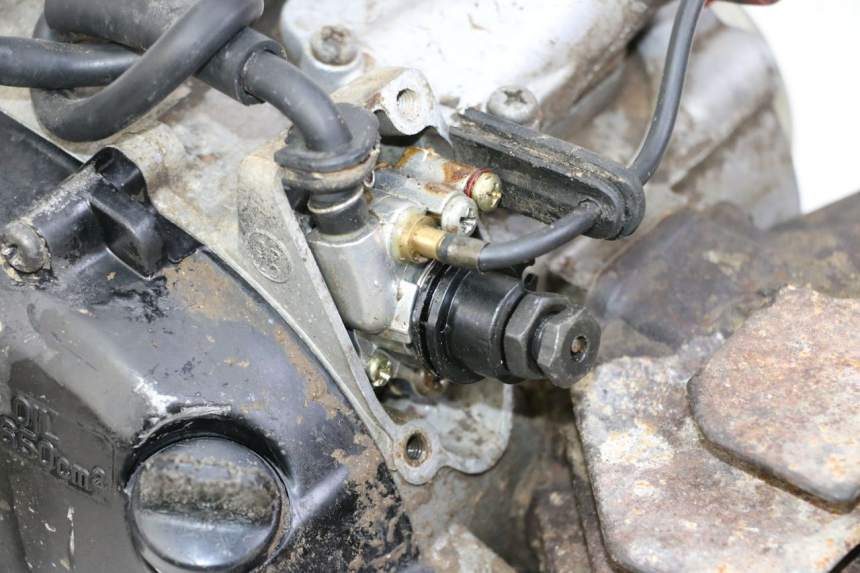 photo de ENGINE YAMAHA PW 80 (1983 - 2014)