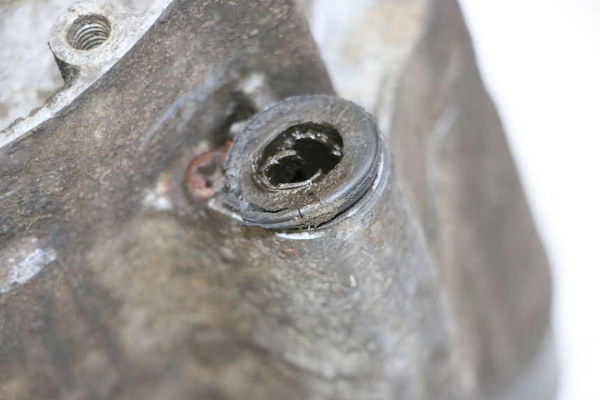photo de ENGINE YAMAHA PW 80 (1983 - 2014)